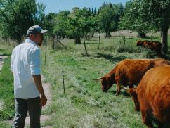 Schweizer Menü Abend